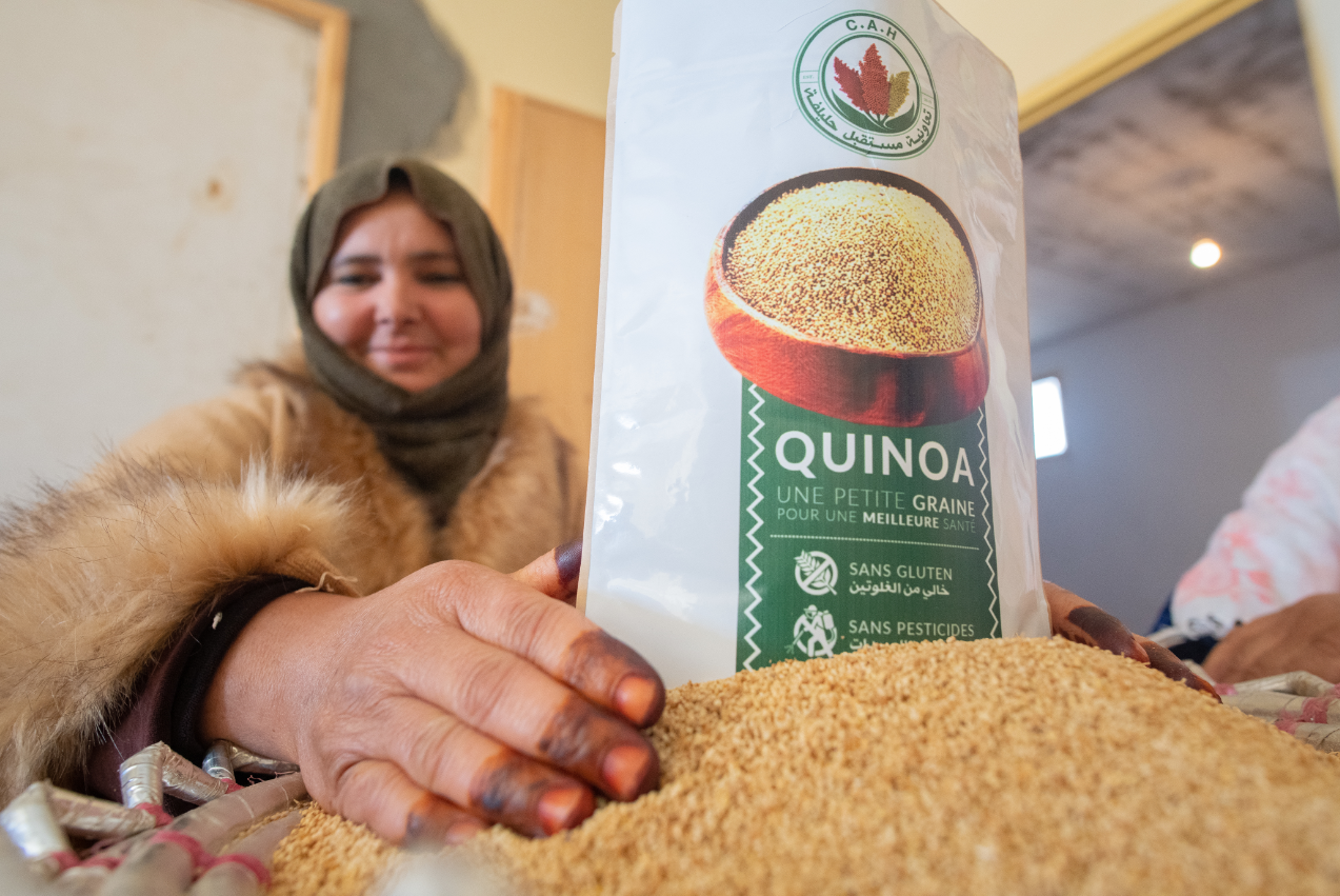 Quinoa4