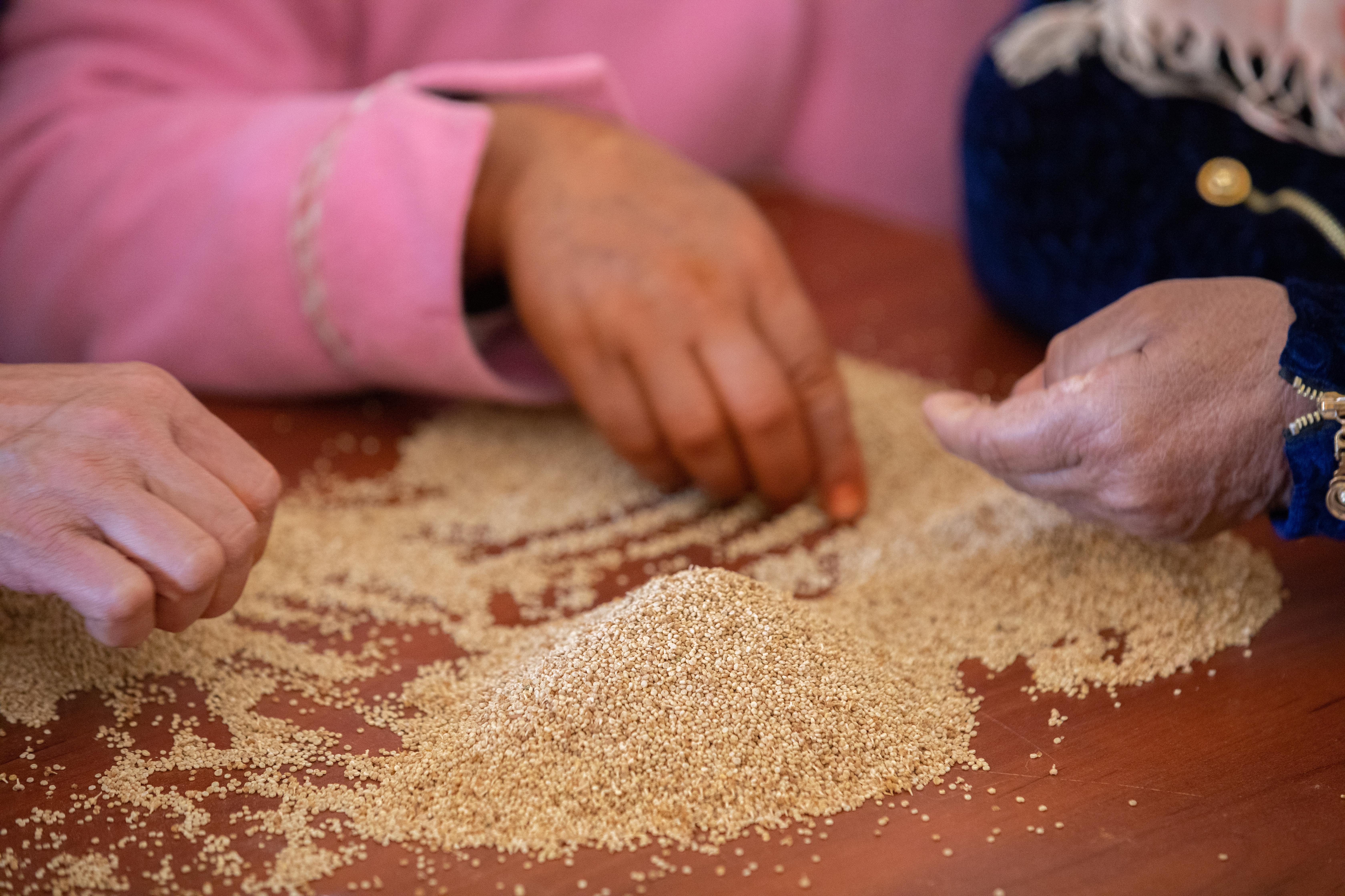 Quinoa1