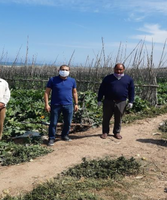 Jorf Agriculteurs